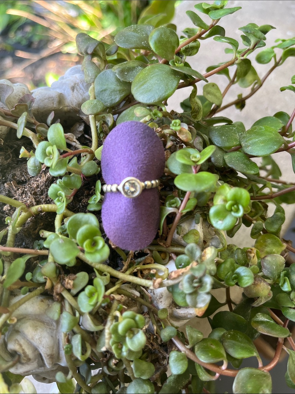 Sterling Silver  Ring with CZ  size 8